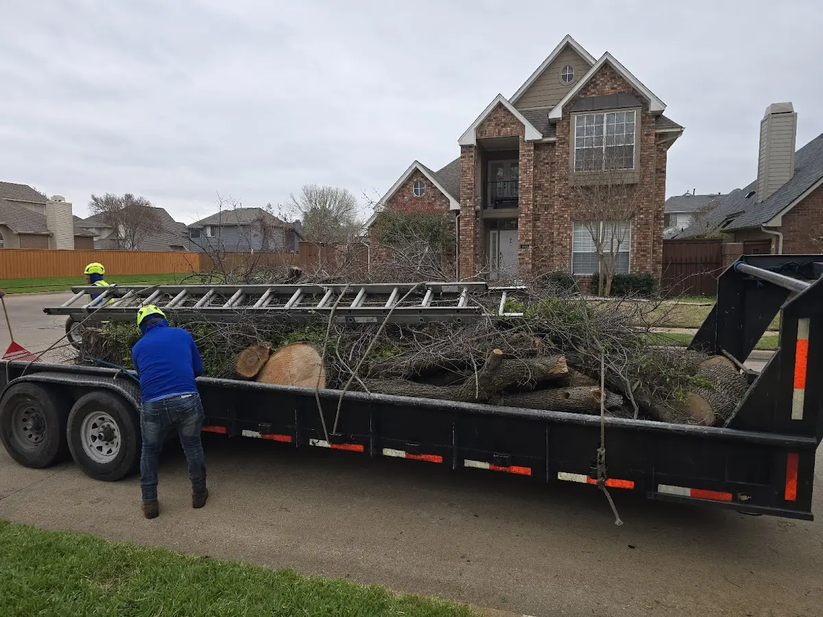 Expert Tree Pest Control with proper safety equipment in Bruning